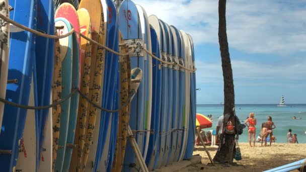 와이키키 비치에서 서핑 보드와 관광객 — 비디오