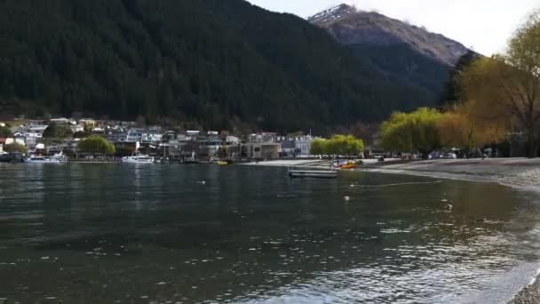 Byggnader vid vattnet i queenstown — Stockvideo