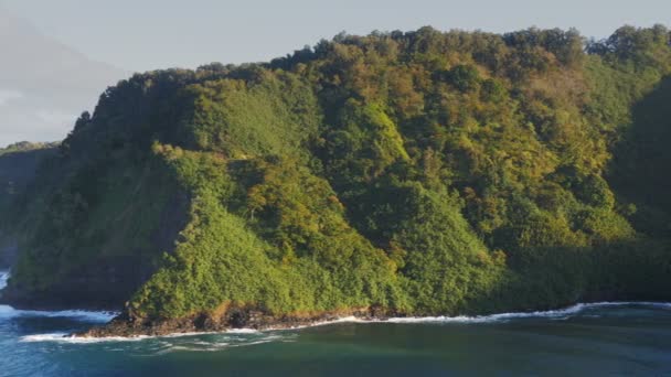 Baía de Honomanu de maui — Vídeo de Stock