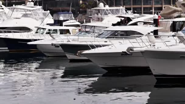 Sydney Australië Sept 2013 Shot Van Luxe Lanches Een Jachthaven — Stockvideo