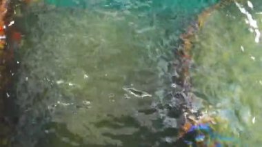 uss arizona gövde bölümünü 