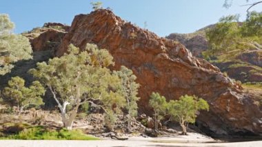 hayalet diş etleri ve ormiston gorge