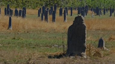 Manyetik termit Höyük