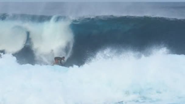 Haleiwa Ηνωμένες Πολιτείες Της Αμερικής Ιανουάριος 2015 Ένα Surfer Πάγκους — Αρχείο Βίντεο