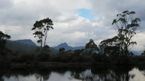 Der Narzissenfluss in Tasmanien — Stockvideo