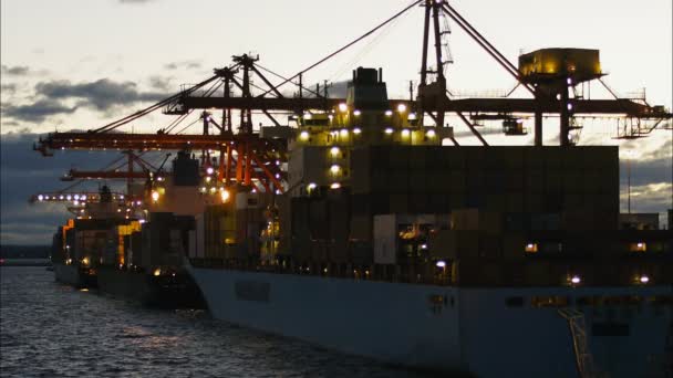 Sydney Ausztrália Június 2012 Betöltése Konténer Hajó Éjjel — Stock videók
