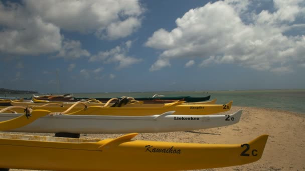UTRIGGARE kanoter på hawaiianska ön — Stockvideo