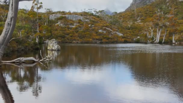 Spokojne wody w basenie wombat — Wideo stockowe