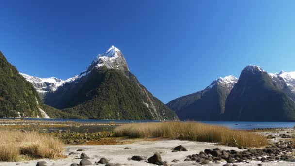 Mitre peak och milford sound — Stockvideo