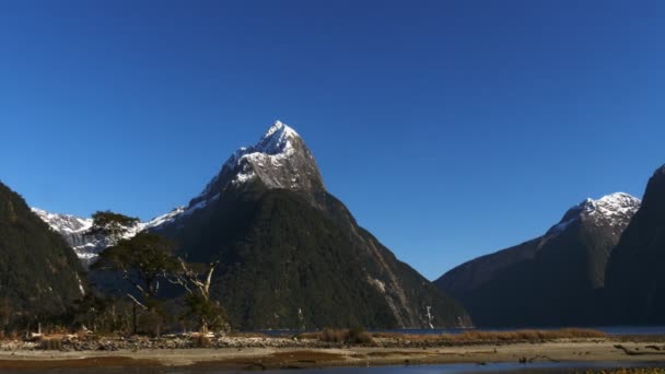 Mitre csúcs Milford Sound-ban — Stock videók