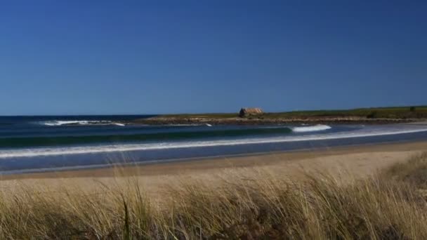 Surf breekt op een strand — Stockvideo