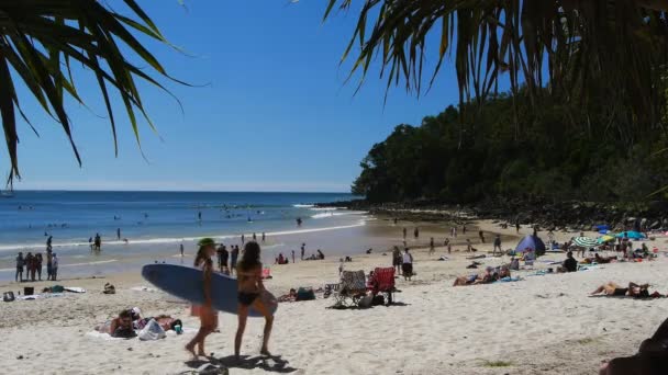 Les surfeurs marchent le long de la plage noosa — Video