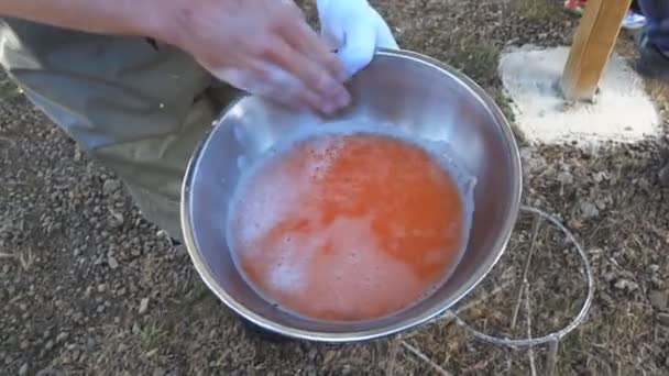 Schüssel mit frisch befruchteten Forelleneiern — Stockvideo