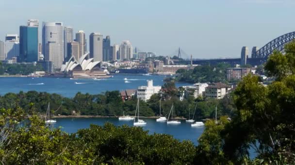 Сиднейская гавань днем — стоковое видео