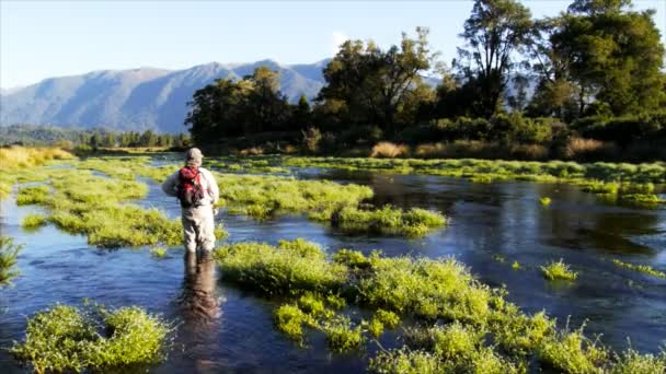 Pescador Busca Agua Para Alimentar Los Peces Exuberante Arroyo Primavera — Vídeos de Stock