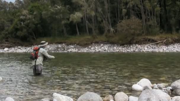 Pescador Engancha Una Trucha Marrón Grande Usando Una Mosca Seca — Vídeo de stock