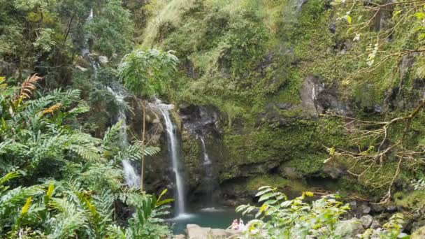 Waterval op de weg naar hana — Stockvideo