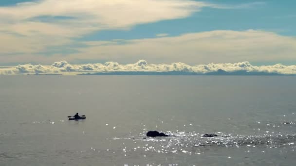 皮划艇运动员划在亚伯塔斯曼国家公园 — 图库视频影像