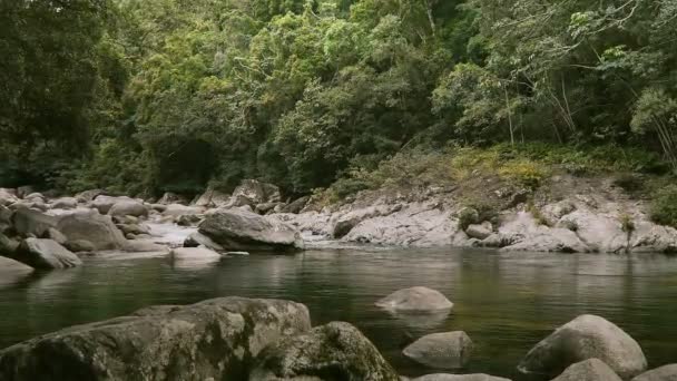 Río Mossman en el extremo norte de Queensland — Vídeo de stock