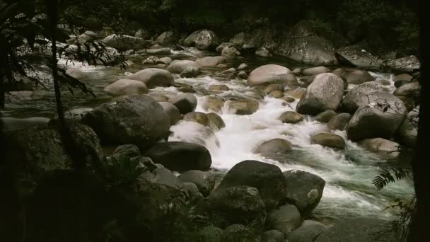 モスマン渓谷の急流 — ストック動画