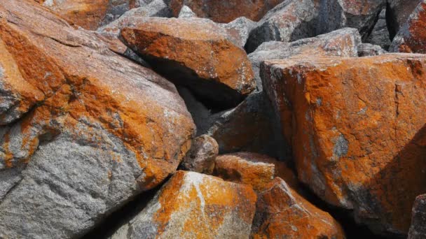 Glony pokryte skał nad zatoką lampka — Wideo stockowe