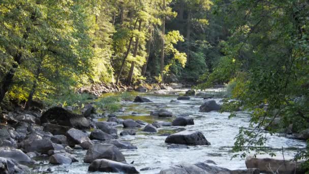 Section of rapids on the merced river — Stock Video