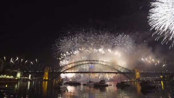 Sydney Novoroční ohňostroj — Stock video