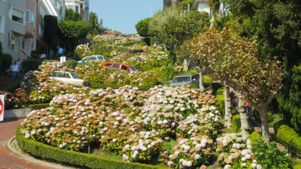 San Francisco California Estados Unidos Agosto 2015 Primer Plano Mientras — Vídeo de stock