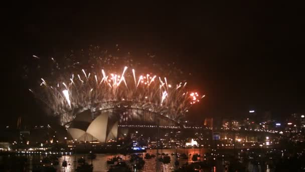 Fogos de artifício em Sydney Harbor Bridge — Vídeo de Stock