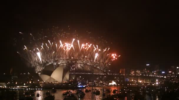 Феєрверки на Sydney міст гавані — стокове відео