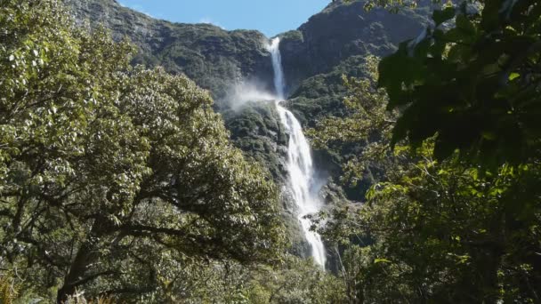 Sutherland Falls on the Milford Track — Stock Video