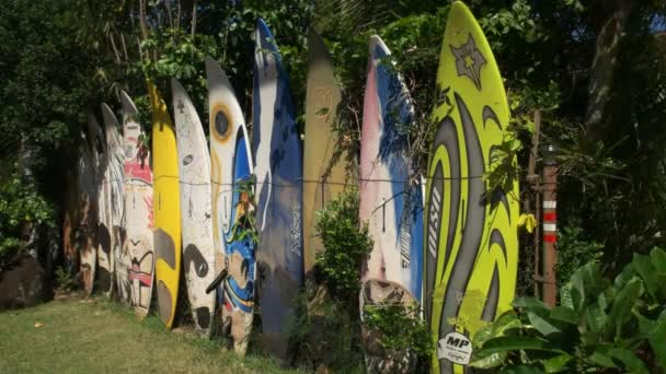 Viejas tablas de windsurf retiradas — Vídeo de stock