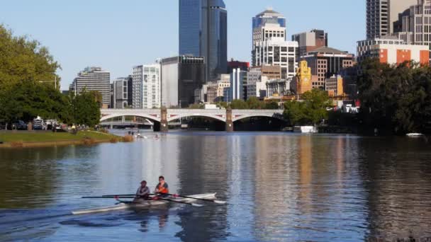 Melbourne Ausztrália 2013 Szeptember Rowers Gyakorlása Yarra Folyó — Stock videók