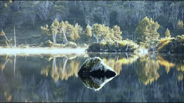 Tåge rydder fra en rolig vildmark sø – Stock-video