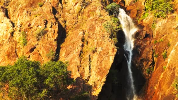 Wangi waterfalls in litchfield national park — Stock Video