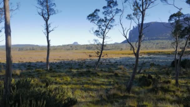 Mt oakleigh y granero bluff — Vídeo de stock