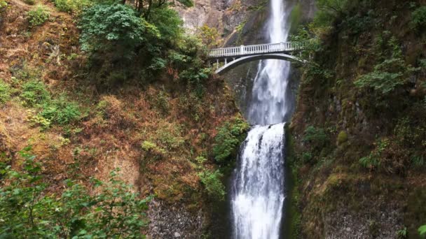 Multnomah falls v Portlandu — Stock video