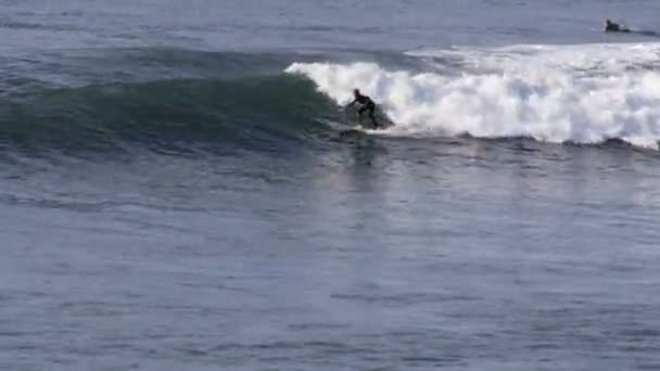 Torquay Australia Settembre 2013 Surfista Esegue Cut Back Sulla Spiaggia — Video Stock