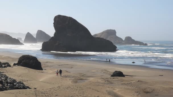 Turistler oregon sahil boyunca yürümek — Stok video