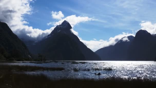 Zon schittert op het water van milford sound — Stockvideo