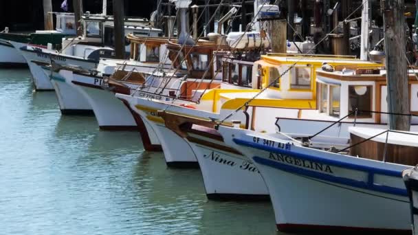 San Francisco California Usa August 2015 Fleet Colorful Fishing Boats — Stock Video