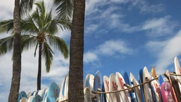 Aluguer de pranchas de surf em waikiki — Vídeo de Stock