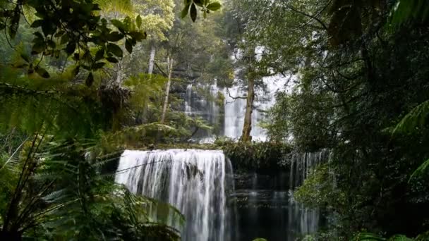 Russell falls mt fält — Stockvideo