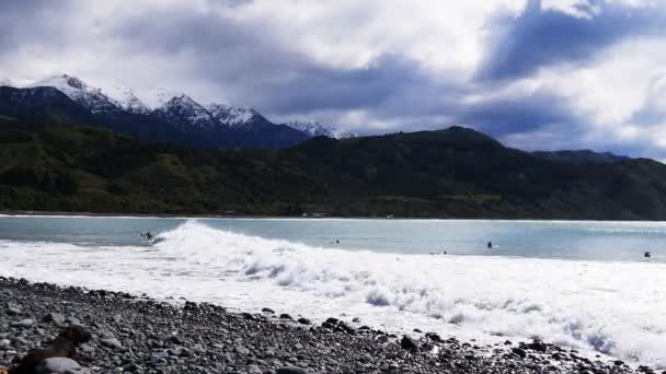 Kaikoura Nueva Zelanda Octubre 2014 Perro Observa Surfista Montar Una — Vídeo de stock