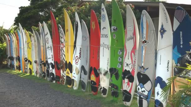 Viejas tablas de windsurf — Vídeo de stock