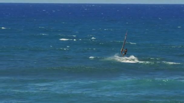 Surfista de viento en un alcance del viento — Vídeo de stock