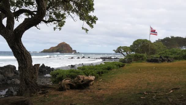Hawaïaanse vlag vliegt op koki strand — Stockvideo