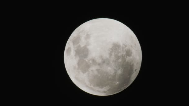 Luna llena en movimiento — Vídeos de Stock