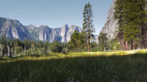 Yosemite-Talboden — Stockvideo