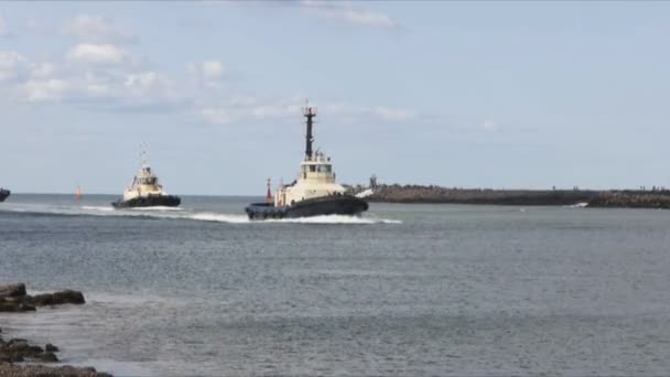 澳大利亚纽卡斯尔 2011年9月11日 澳大利亚纽卡斯尔的两艘拖船 — 图库视频影像